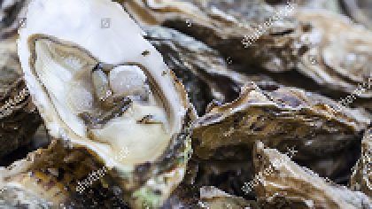 無機資源循環採購廠商